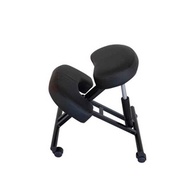 EazyCare เก้าอี้สตูล Ergonomics รุ่น Kneeling Chair - EazyCare, Home &amp; Garden