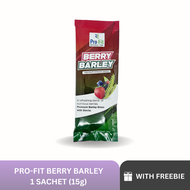 Trial pack 1 sachet Profit Berry Barley - Original Premium Barley Drink. Barley Grass Powder with Stevia anti aging helps boost immunity to prevent virus green BARLEY Juice Drink | herbal and pure organic green barley powder juice drink