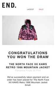 Size S 中籤 全新 The North Face XX KAWS Retro 1986 Mountain Jacket Size S Small Pamplona Purple 86 Print 小碼 細碼