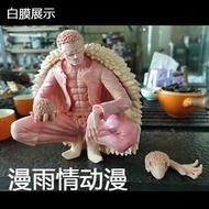 ZZUB海賊王七武海手辦 小唐 多弗朗明哥 唐吉訶德 蹲姿系列gk模型擺件