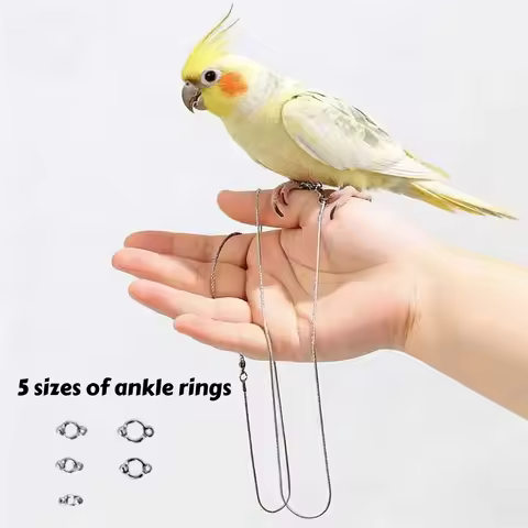 Tangle-free stainless steel parrot anklet leash, bird walking and flying rope, alloy anklet, peony c
