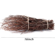 SOUJOY 100 PCS Birch Twigs for Vase, 16 Inch Natural Dried Birch Branches, Craft Decoration Birch St
