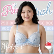 『Ship out 24h』Japanese Plus Size Underwire Bra Meteor Rain Icy Ribbon Lace Cute 大码内衣 75B 80B 80C 85B