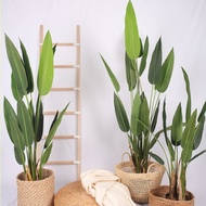 110 |140 |160 Artificial Sky Bird | 120 |160 Artificial Banana tree | Pokok Hiasan Viral | Home Deco