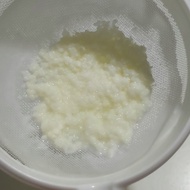 奶克菲爾菌種 milk kefir grains $5/10g