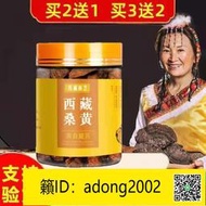 【丁丁連鎖】正宗西藏野生桑黃30年桑樹桑黃正品黃金桑黃多少錢一斤100-500g