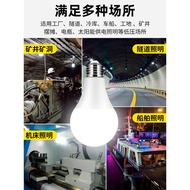 Bulb led Low Voltage Lamp 12V24V36VAC AC DC Waterproof E27 Screw Battery Machine Tool Lighting Energ