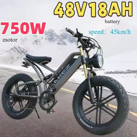Adult AKEZ Electric bike 750W Powerful Motor 48V 18AH lithium battery Electric Bicycle 20 Inch Fat T