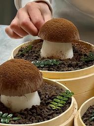 現貨：仿真蘑菇慕斯模具半圓形錐形柱子巧克力蛋糕烘焙磨具