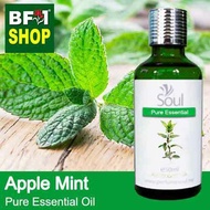 Pure Essential Oil (EO) - Mint - Apple Mint ( Mentha Suaveolens ) Essential Oil - 50ml