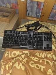 Steelseries apex pro