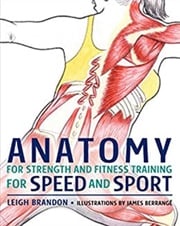 Anatomy for Strength and Fitness Training for Speed and Sport Leigh Brandon