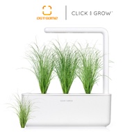 Click And Grow 3 Packs Plant Pods (Ornamental Grass)