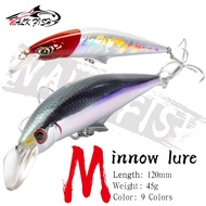 WALK FISH Sinking Japan Minnow Fishing Lures Jerkbait (1 Pc x 45g/19g/12.9g/24g)