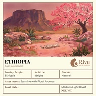 RIVU COFFEE ROASTERS - Ethiopia Guji Hambella G1 - Medium Light Roast Arabica Coffee Beans