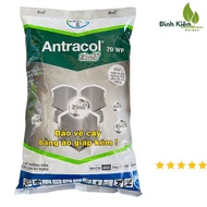 Antracol 70WP [CHÍNH HÃNG] Phòng Bệnh Bảo Vệ Cây Trồng(1kg)