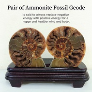 Fengshui Pair of Ammonite Fossil Geode with Stand