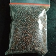 Mustard Seeds / Mustard Seed 50 gr