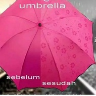11.11 3D Folding Umbrella Magic 3D Folding Umbrella Appears When Wet