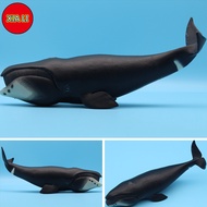 New Simulated Sea Life Models Toys Animal Action Figure Bowhead Whale Whale Toy Figures for Children
