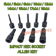 IMPACT HEX SOCKET ALLENKEY TOOL BIT DRIVE ALLEN KEY BOX TOOLS SPANNER SPANA 1/2 H5 H6 H8 H10/ 5 6 8 