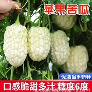 Taiwan Apple Bitter Gourd Seeds White Green Apple Bitter Gourd Seeds Fruit Bitter Gourd Seeds Vegeta