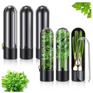 Premium Herb Keeper and Herb Storage Container Extra Large Glass Design Keeps Greens and Vegetables 