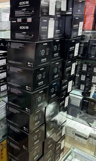 Canon R8 w/24-50 kit