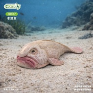 British ColltA Me You He Ocean Children Cognitive Animal Model Toy 80037 Water Drop Fish 2025