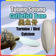 PETSEE Tulang Sotong Makanan Burung Cuttlefish Bone 墨鱼骨 Cuttlefish Sotong Tulang Sotong Katak Besar 