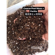 4L Peat Moss Coarse grade + Perlite/ 进口粗泥炭土+珍珠岩