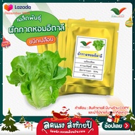 ส่งฟรี !! เมล็ดผักกาดหอมอิตาลี ชนิดเปลือย By Hydroponicgroup