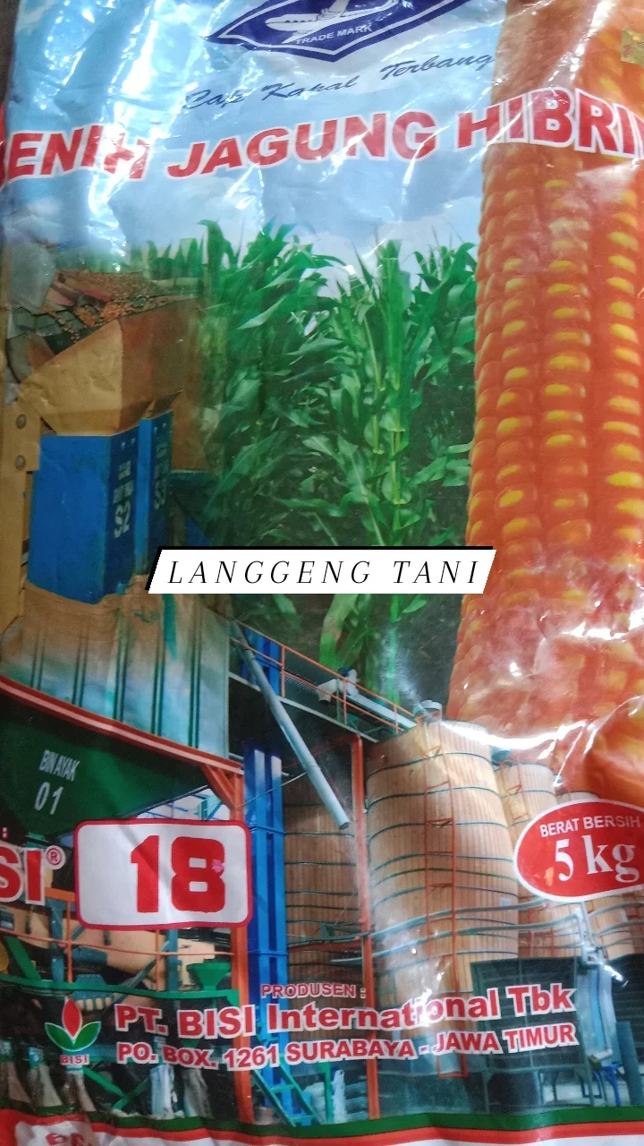 bibit  jagung Hibrida Bisi 18 kemasan 5kg