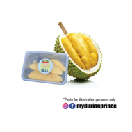 Durian Musang King Hybrid D197