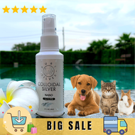 Silver Nano Spray (ซิลเวอร์ นาโน สเปรย์) 60 ml Pet Wound Healing Colloidal Silver Spray 99.9% Disinfectant for Pets Dog Cat