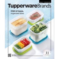 Tupperware Chill Freez Large (2) 5.7L