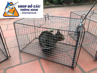 Lồng Bẫy Mèo Chuột Sóc Rừng... long bay meo rung long bay meo gia re ( Shop Đồ Câu Thông Minh )