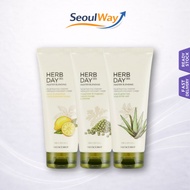 [The Face Shop] Herb Day 365 Master Blending Cleansing foam 170ml