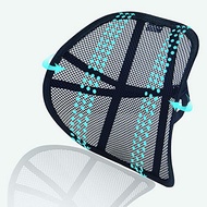 Big Ant Lumbar Support, Car Back Support Mesh Double Layers Ergonomic Designed for Comfort and Lower
