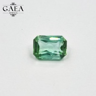 Tourmaline (Octagon) | 电气石 / 碧玺 | October Birthstone | Natural Gemstones | Batu Permata Asli