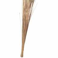 ❑ ♻ ✘ ◲ Buri Bukod Walis  tingting other known for walis buli price per piece 45 inch