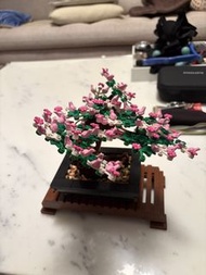 Assembled LEGO Bonsai Tree set
