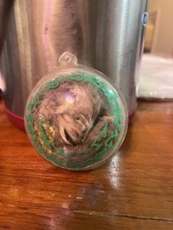 阿贊魄龍 貓路過