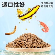 Arowana Feed Silver Arowana Special Fish Feed Red Arowana Golden Arowana Fish Food Large Particles T