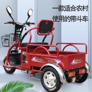 電動三輪車接送孩子成人老年老人家用新款小型貨車電瓶車三輪車