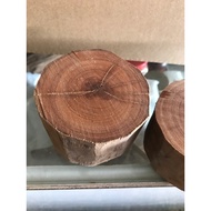 Submerged Papua Sandalwood Log 0.5kg