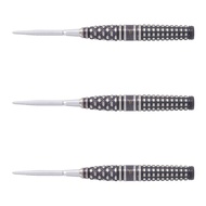 [STEELTIP] Target Darts • The Legend G8 Swiss Point • Paul Lim • 24g • SGDARTS