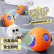 Fur Ball Diary Electric Cat Teasing Smart Doll Walking Toy Dog Pet Automatic C4f1