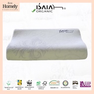 Isaiah Organic Pillow Eco Cool