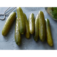 CUCUMBER PICKLE 450 gram